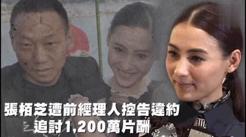 吃瓜娱乐连麦,连麦互动，畅享欢乐时光  第3张
